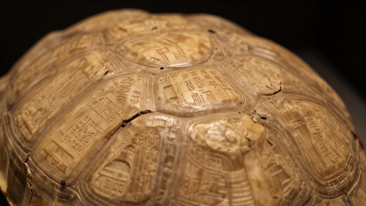 Inscripciones de escritura china antigua grabadas sobre fragmentos de caparazón de tortuga con texturas desgastadas.